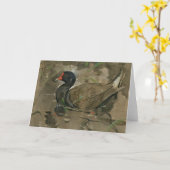 Die Moorhen | Joseph Crawhall Karte (Gelbe Blume)