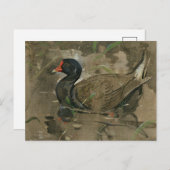 Die Moorhen | Joseph Crawhall Postkarte (Vorne/Hinten)