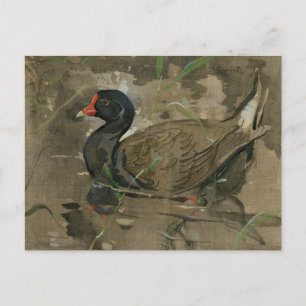 Die Moorhen   Joseph Crawhall Postkarte