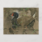 Die Moorhen | Joseph Crawhall Postkarte (Vorderseite)
