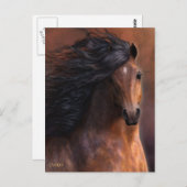 Die Morgan Horse Postkarte (Vorne/Hinten)