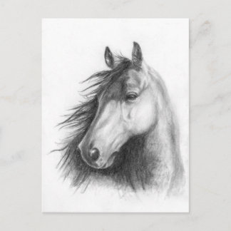 Die Morgan-Portraitkarte Postkarte