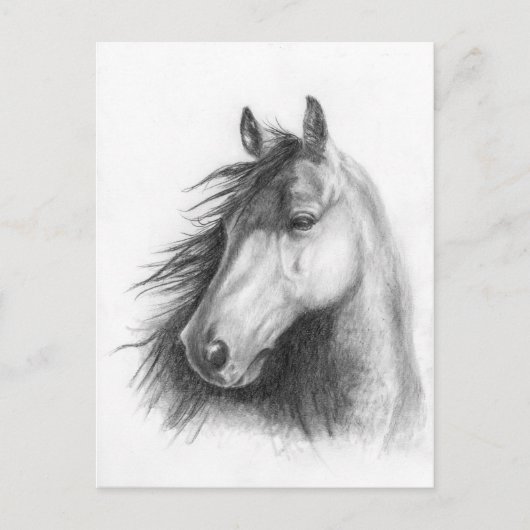 Die Morgan-Portraitkarte Postkarte (Vorderseite)