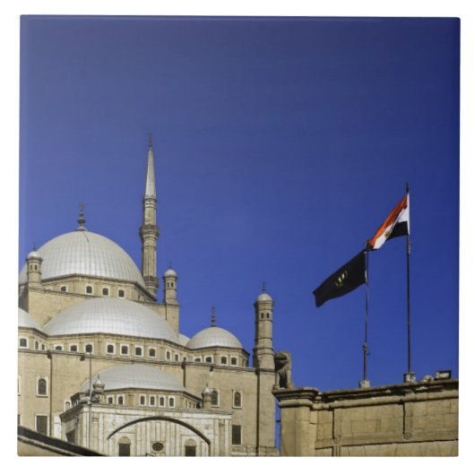 Die Moschee Muhammad Ali in der Citadel, Fliese (Vorderseite)