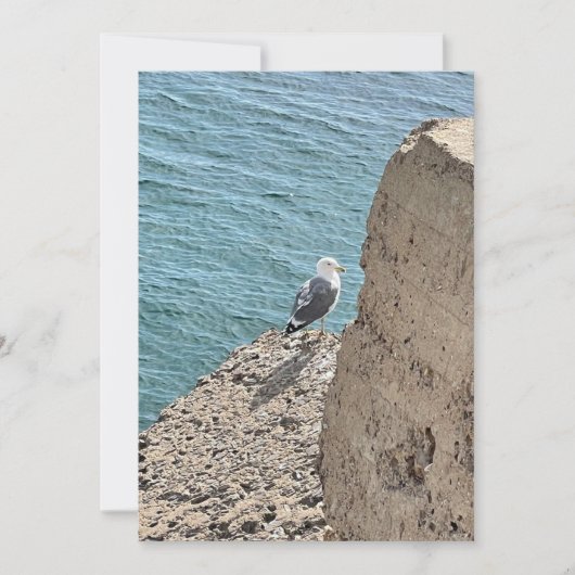 Die Möwe am Meer (Vorderseite)