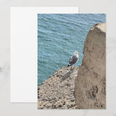 Die Möwe am Meer (Vorne/Hinten)
