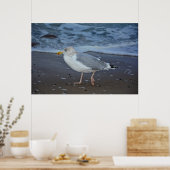 Die Möwe Poster (Küche)