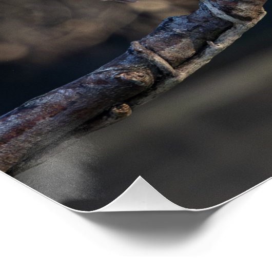 die Möwe Poster (Ecke)