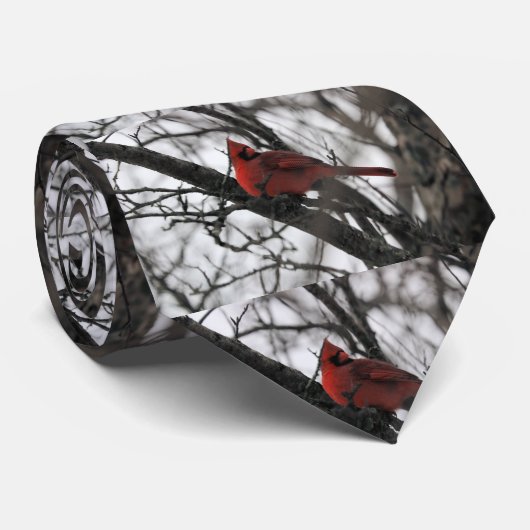 Die Mr. Krawatte (Gerollt)