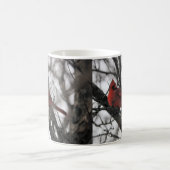 Die Mr. Tasse (Mittel)