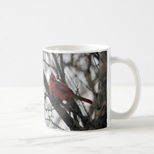 Die Mr. Tasse