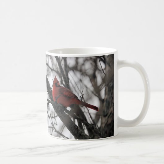 Die Mr. Tasse (Rechts)