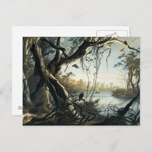 Die Mündung des Fox River, Indiana, Platte 5 von Postkarte (Vorne/Hinten)