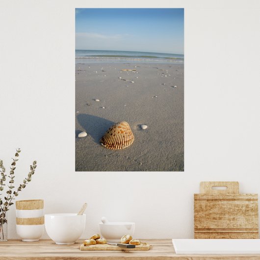 Die Muschel Poster (Küche)