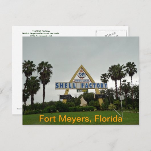 Die Muschel Postkarte (Vorne/Hinten)