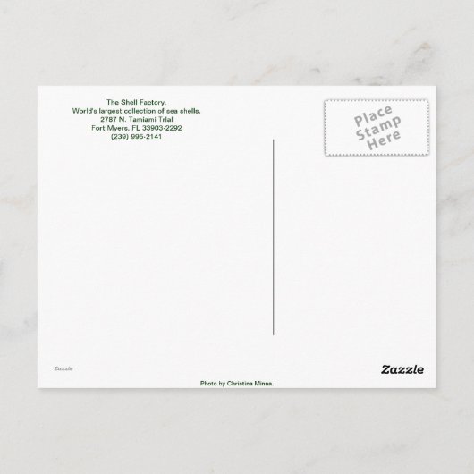 Die Muschel Postkarte (Rückseite)