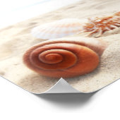 Die Muscheln am Sand nah Poster (Ecke)
