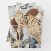Die Muscheln am Strand bezaubern das Meer Geschenkpapier Set (Beispiel)