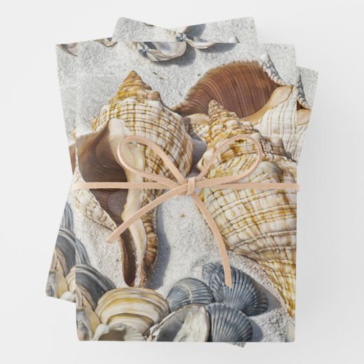 Die Muscheln am Strand bezaubern das Meer Geschenkpapier Set (Beispiel)