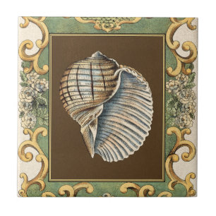 Die Muscheln der kleinen Meerjungfrau Fliese