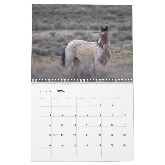 Die Mustangs des Sandwaschbeckens Kalender (Jan 2026)