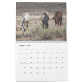 Die Mustangs des Sandwaschbeckens Kalender (Mär 2027)