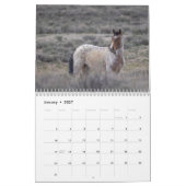 Die Mustangs des Sandwaschbeckens Kalender (Jan 2027)