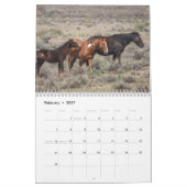 Die Mustangs des Sandwaschbeckens Kalender (Feb 2027)
