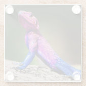 Die Mwanza flachköpfige Dickzungeneidechse auf Glasuntersetzer (Rückseite)