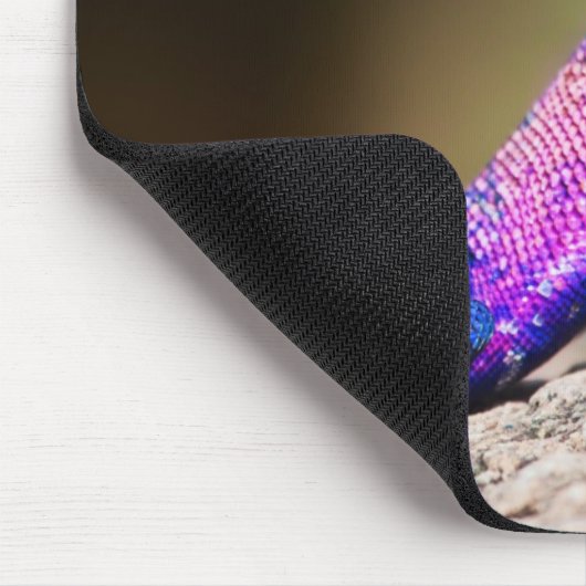 Die Mwanza flachköpfige Dickzungeneidechse auf Mousepad (Ecke)