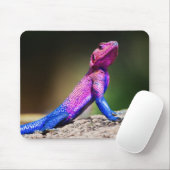 Die Mwanza flachköpfige Dickzungeneidechse auf Mousepad (Mit Mouse)