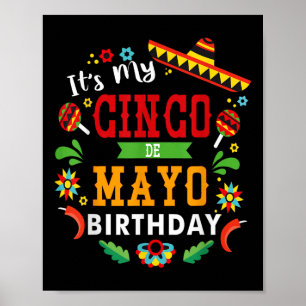 Die "My Cinco De Mayo" Geburtstagsfeier Funny Birt Poster