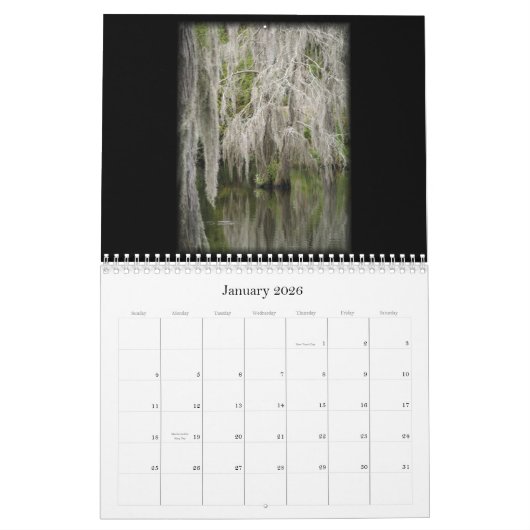 Die Mystiker von Louisiana 2011 Kalender (Jan 2026)