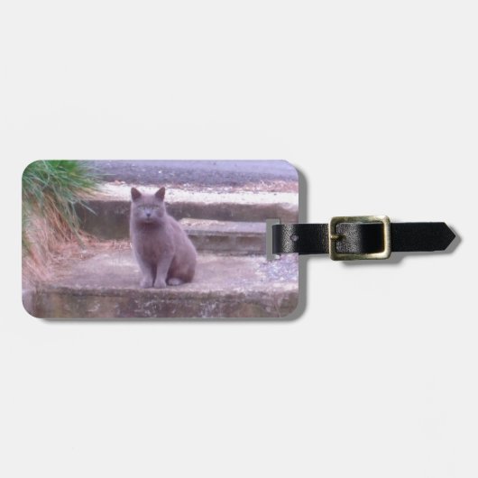Die Nachbar-Grau-Katze Gepäckanhänger (Vorderseite horizontal)