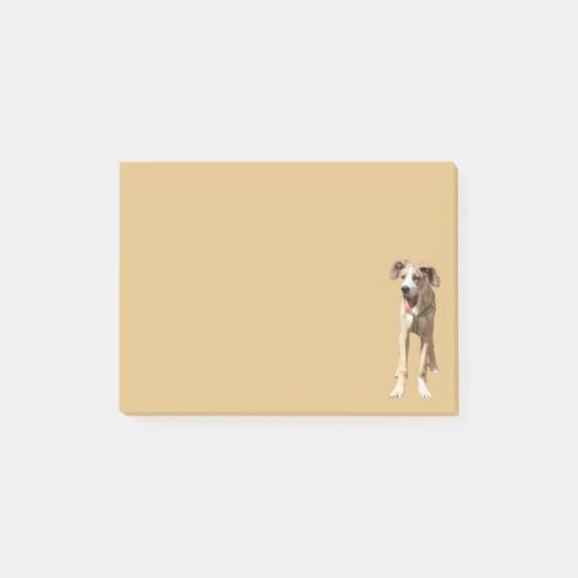Die Nachricht: Walter the Great Dane Post-it Klebezettel (Vorderseite)