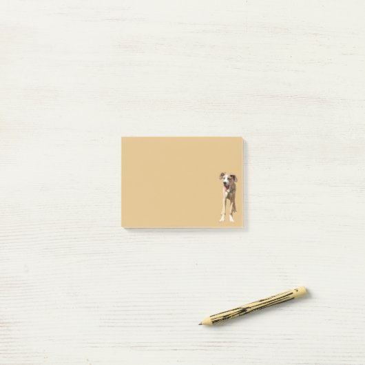 Die Nachricht: Walter the Great Dane Post-it Klebezettel (Auf Schreibtisch)