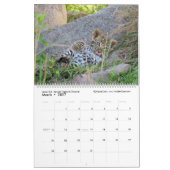 Die nächste Generation (afrikanische Tiere) (zwei  Kalender (Mär 2027)