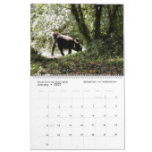 Die nächste Generation (afrikanische Tiere) (zwei  Kalender (Jan 2027)