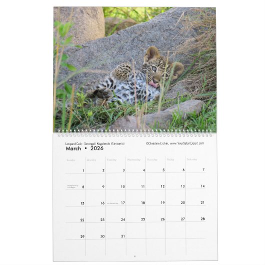 Die nächste Generation (afrikanische Tiere) (zwei  Kalender (Mär 2026)