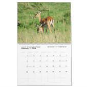 Die nächste Generation (afrikanische Tiere) (zwei  Kalender (Feb 2026)