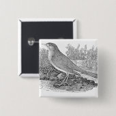 Die Nachtigall Button (Vorne & Hinten)