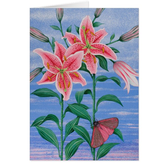 Die Nachtschicht 2011 (Vorne)