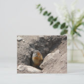 Die Nagetierkreatur entsteht Postkarte (Stehend Vorderseite)