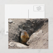 Die Nagetierkreatur entsteht Postkarte (Vorne/Hinten)