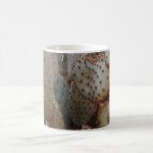 DIE NAH-up-SICHT VON CACTUS Kaffeetasse (Mittel)