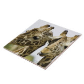 Die Namensgiraffe wird vom arabischen Wort Fliese (Seite)