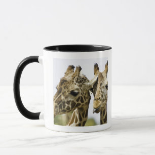 Die Namensgiraffe wird vom arabischen Wort Tasse