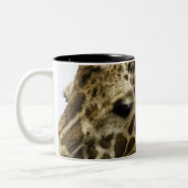 Die Namensgiraffe wird vom arabischen Wort Zweifarbige Tasse (Links)