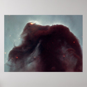 Die NASA - Der Horsehead Nebelfleck Poster