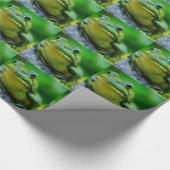 Die Nase eines Frosches Geschenkpapier (Ecke)